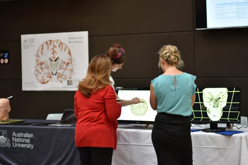 ANU staff check out an augmented reality skull.